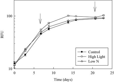 Pumped Up by the Cold: Elemental Quotas and Stoichiometry of Cold-Water Diatoms